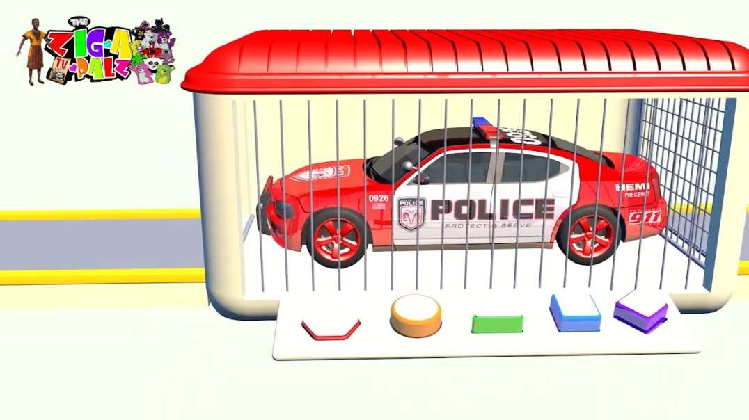 ZAPZ EARLY LEARNING 31